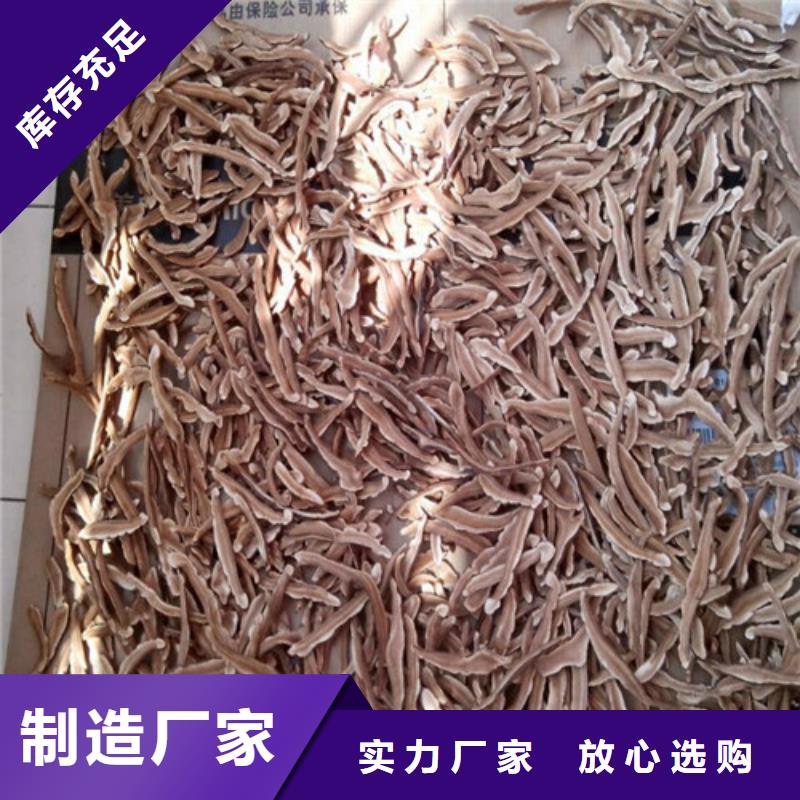 破壁灵芝孢子粉-可在线咨询的简单介绍