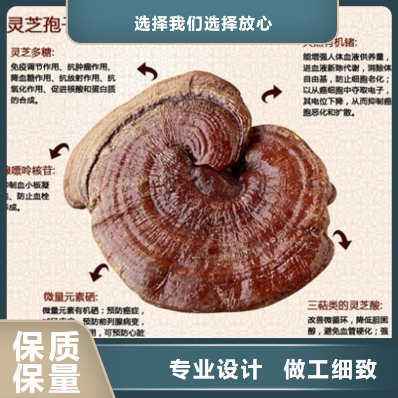 灵芝孢子粉原产地讲信誉保质量