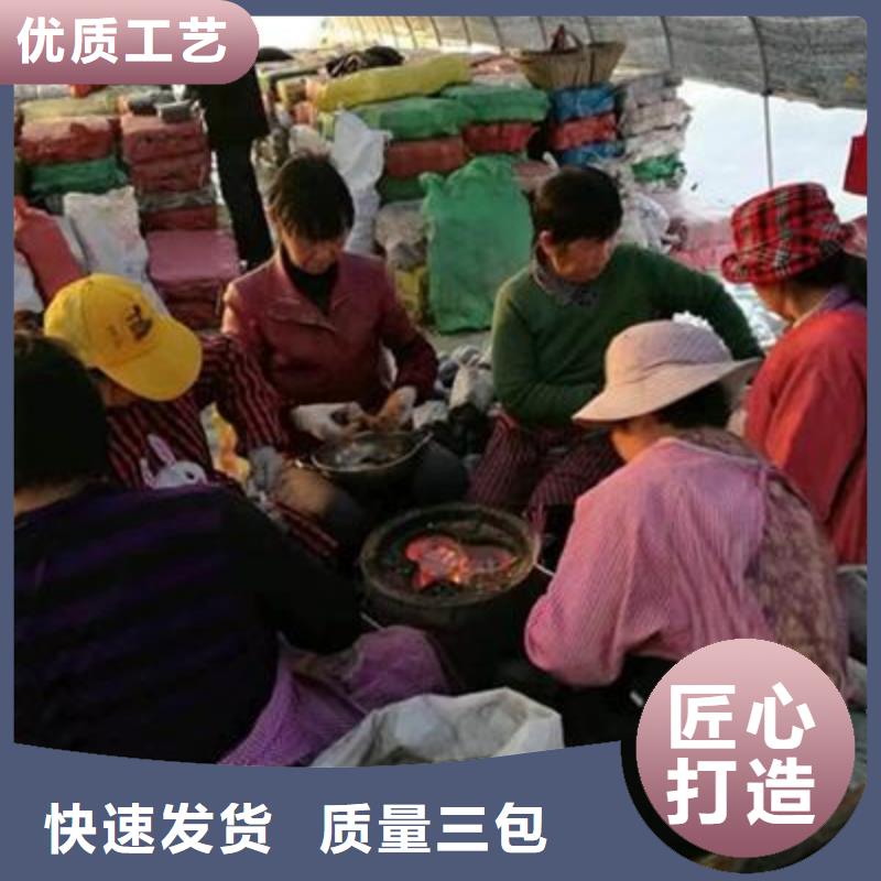 灵芝破壁孢子粉生产厂家厂家直营