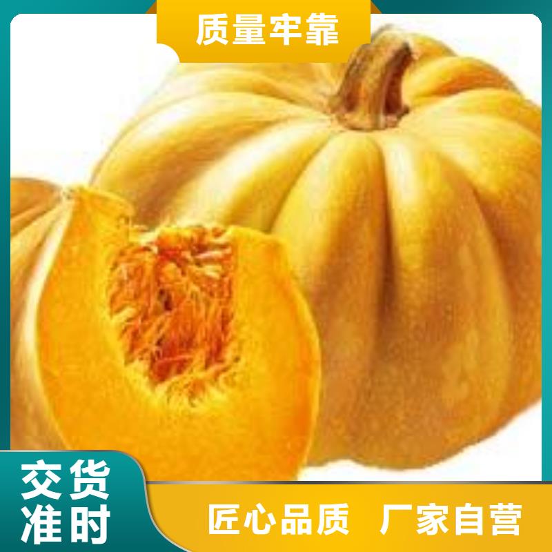 南瓜粉（金瓜粉）哪里有卖的款式多样