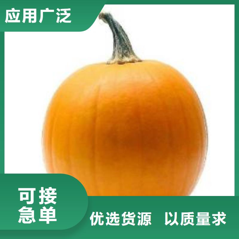 南瓜粉（金瓜粉）批发价产地源头好货