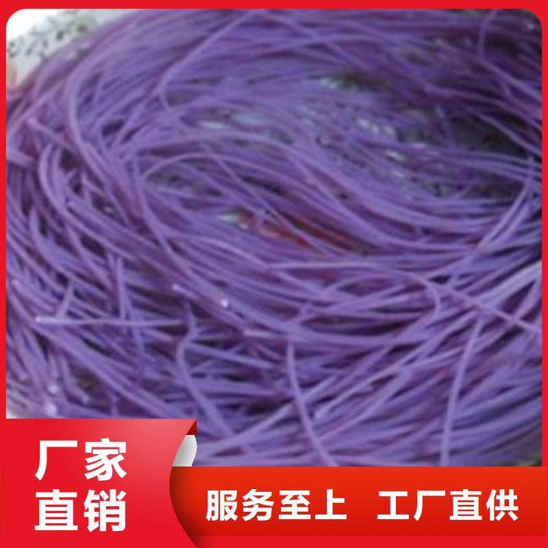 紫薯粉哪里有批发市场本地生产厂家