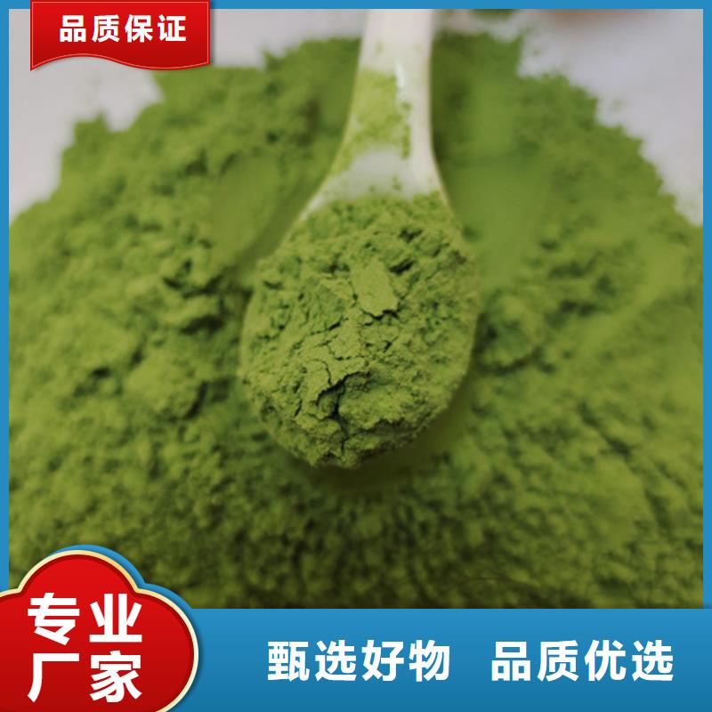 菠菜粉发货速度快厂家